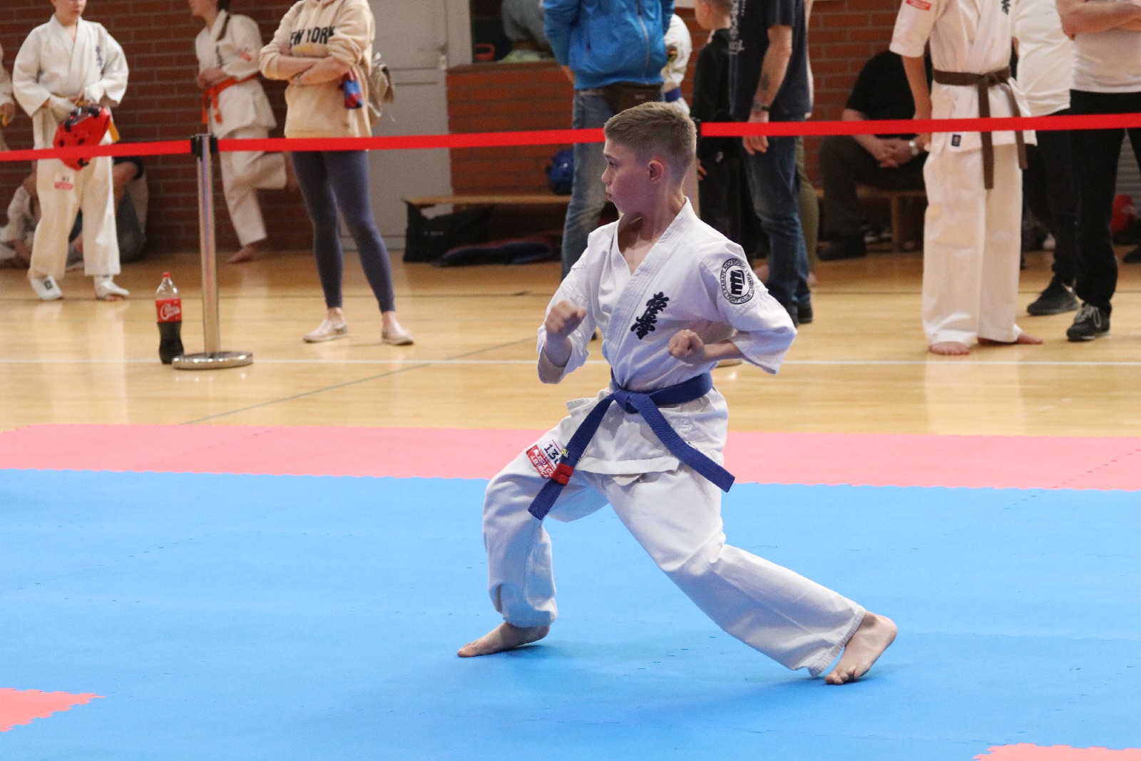Silesia Cup. Zawody w ramach Polskiej Ligi Karate Kontaktowego