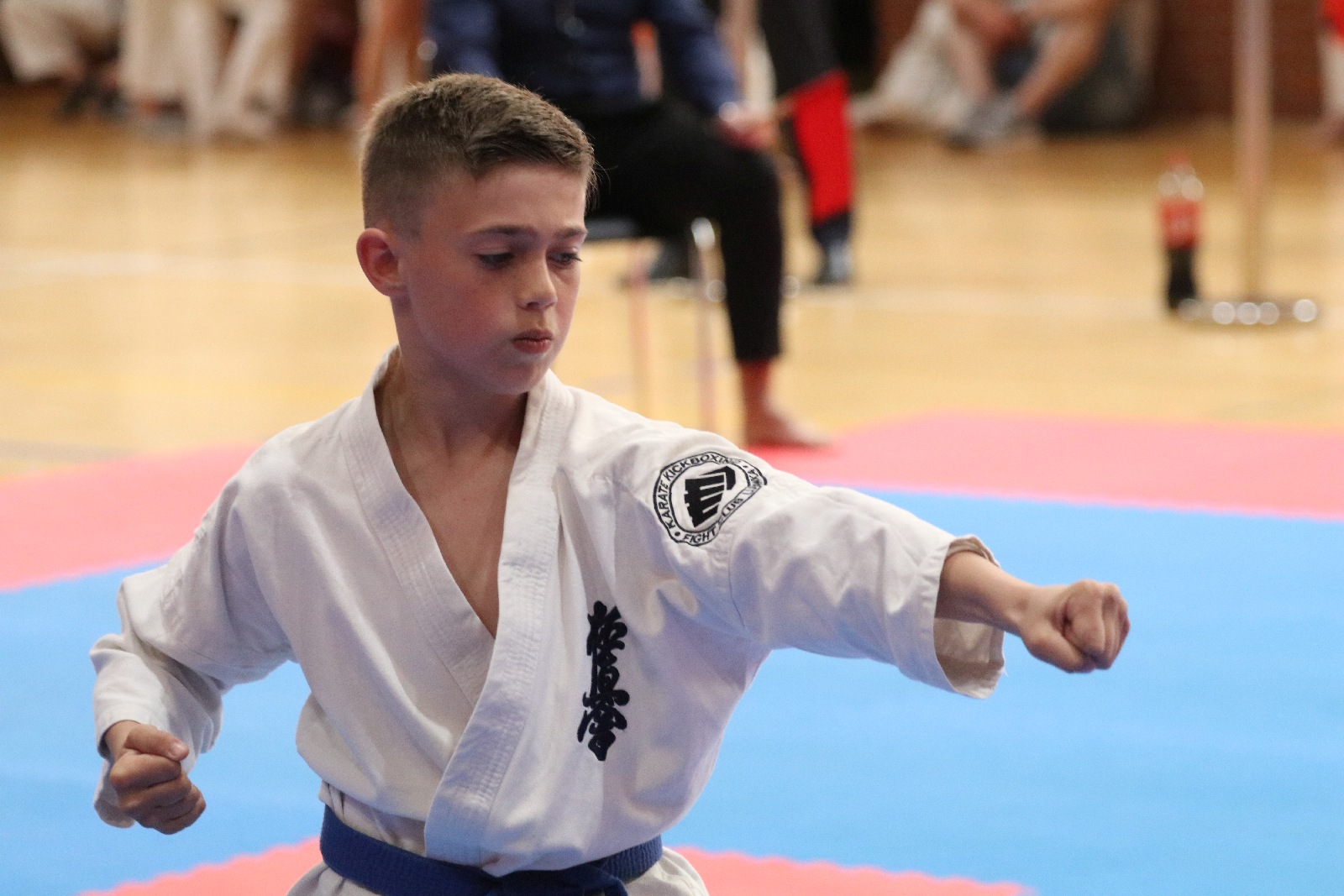 Silesia Cup. Zawody w ramach Polskiej Ligi Karate Kontaktowego