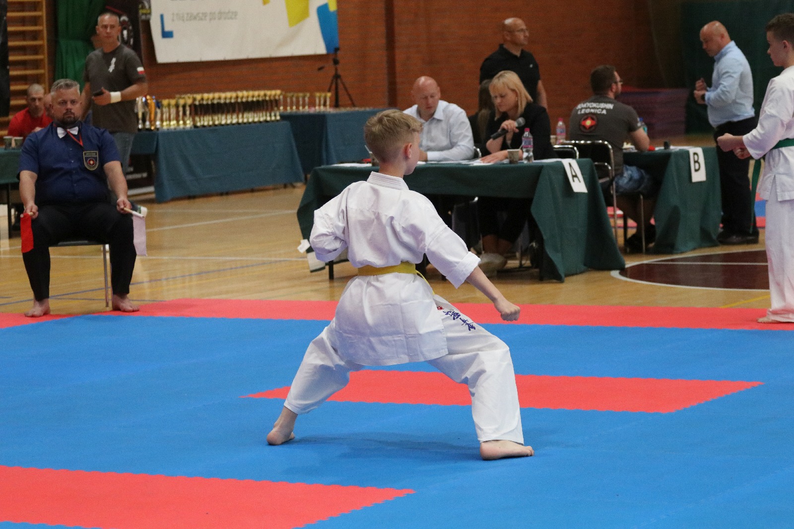 Silesia Cup. Zawody w ramach Polskiej Ligi Karate Kontaktowego