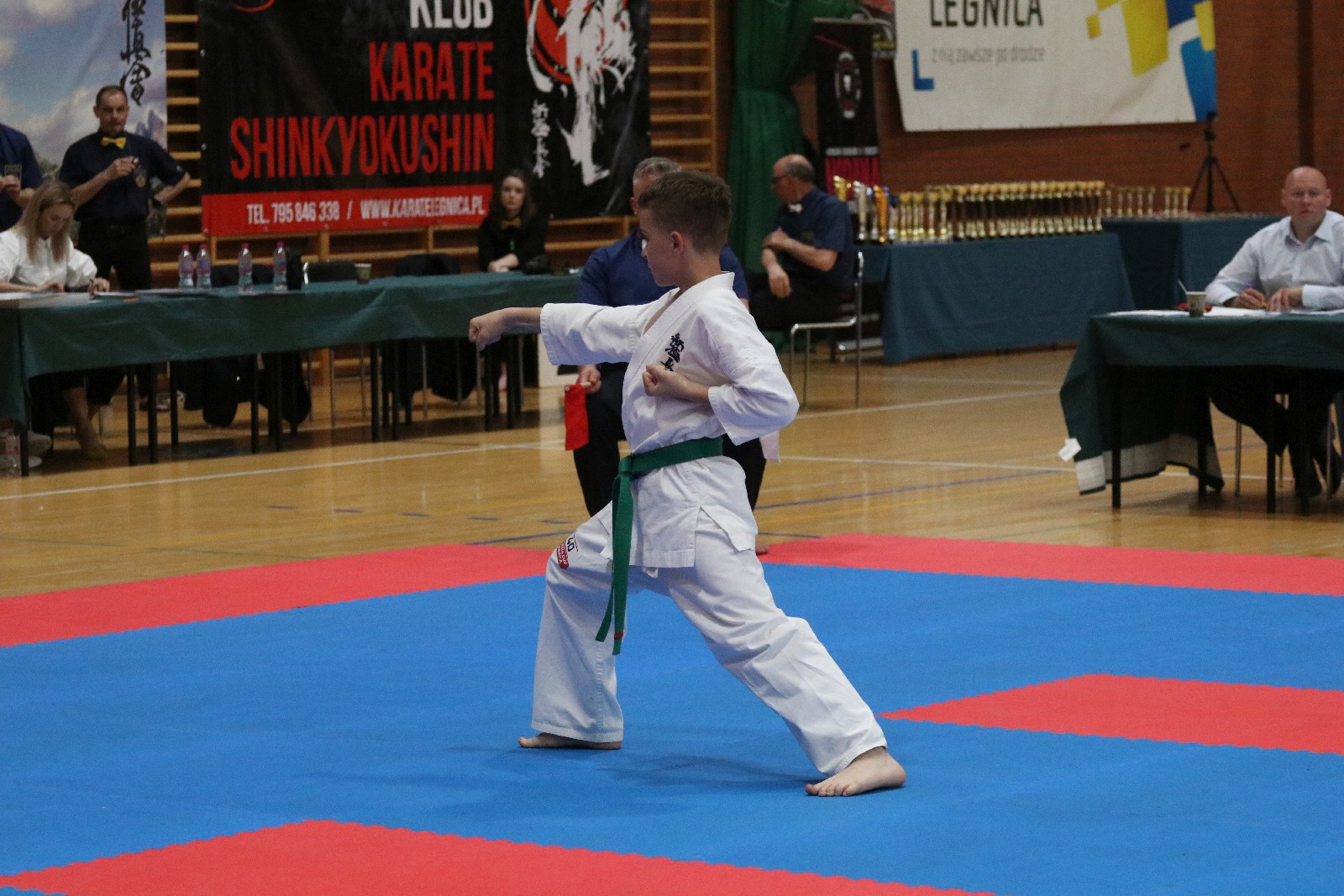 Silesia Cup. Zawody w ramach Polskiej Ligi Karate Kontaktowego