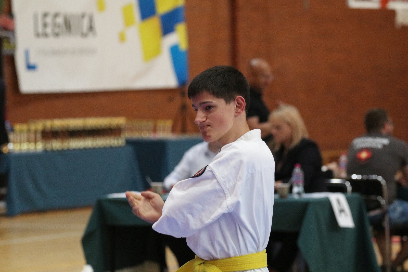 Silesia Cup. Zawody w ramach Polskiej Ligi Karate Kontaktowego