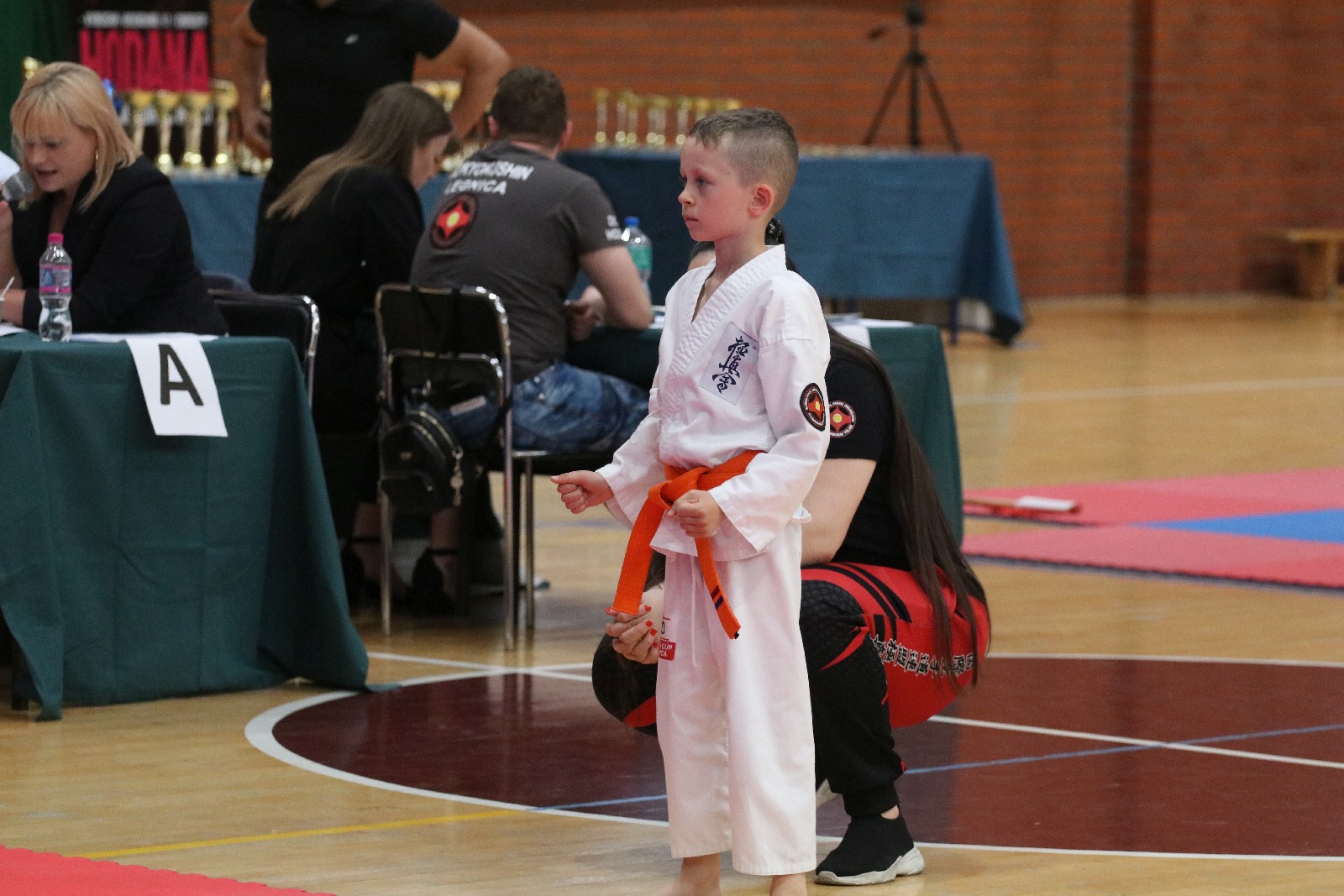 Silesia Cup. Zawody w ramach Polskiej Ligi Karate Kontaktowego