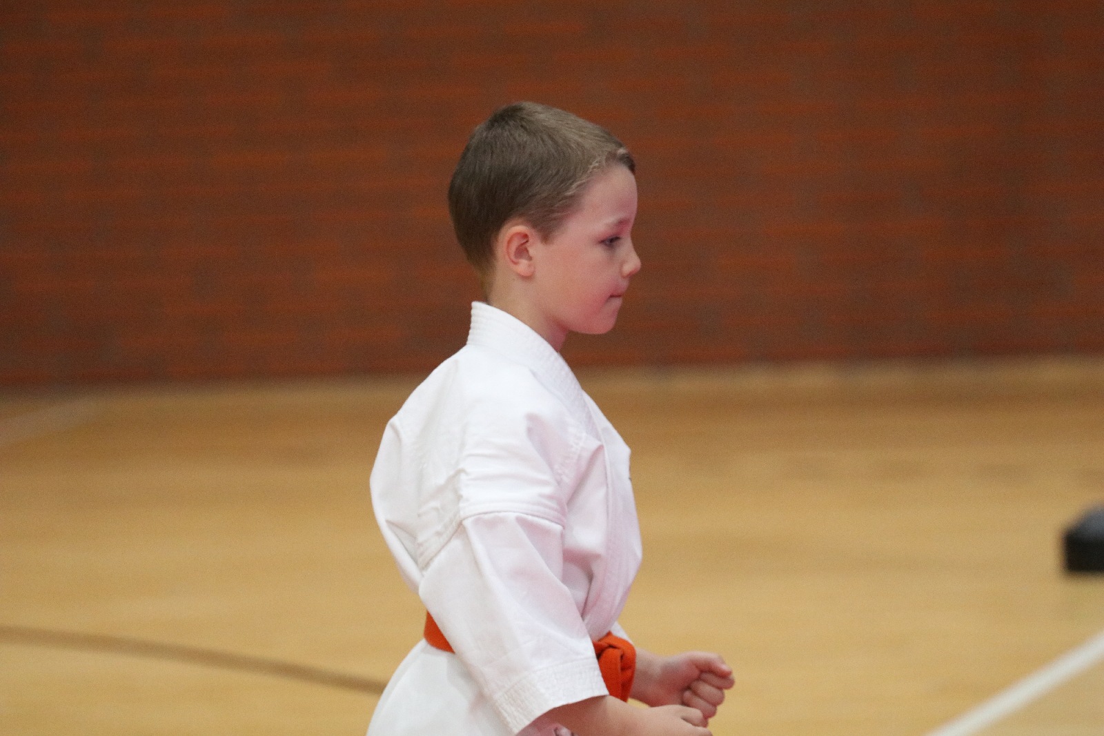 Silesia Cup. Zawody w ramach Polskiej Ligi Karate Kontaktowego