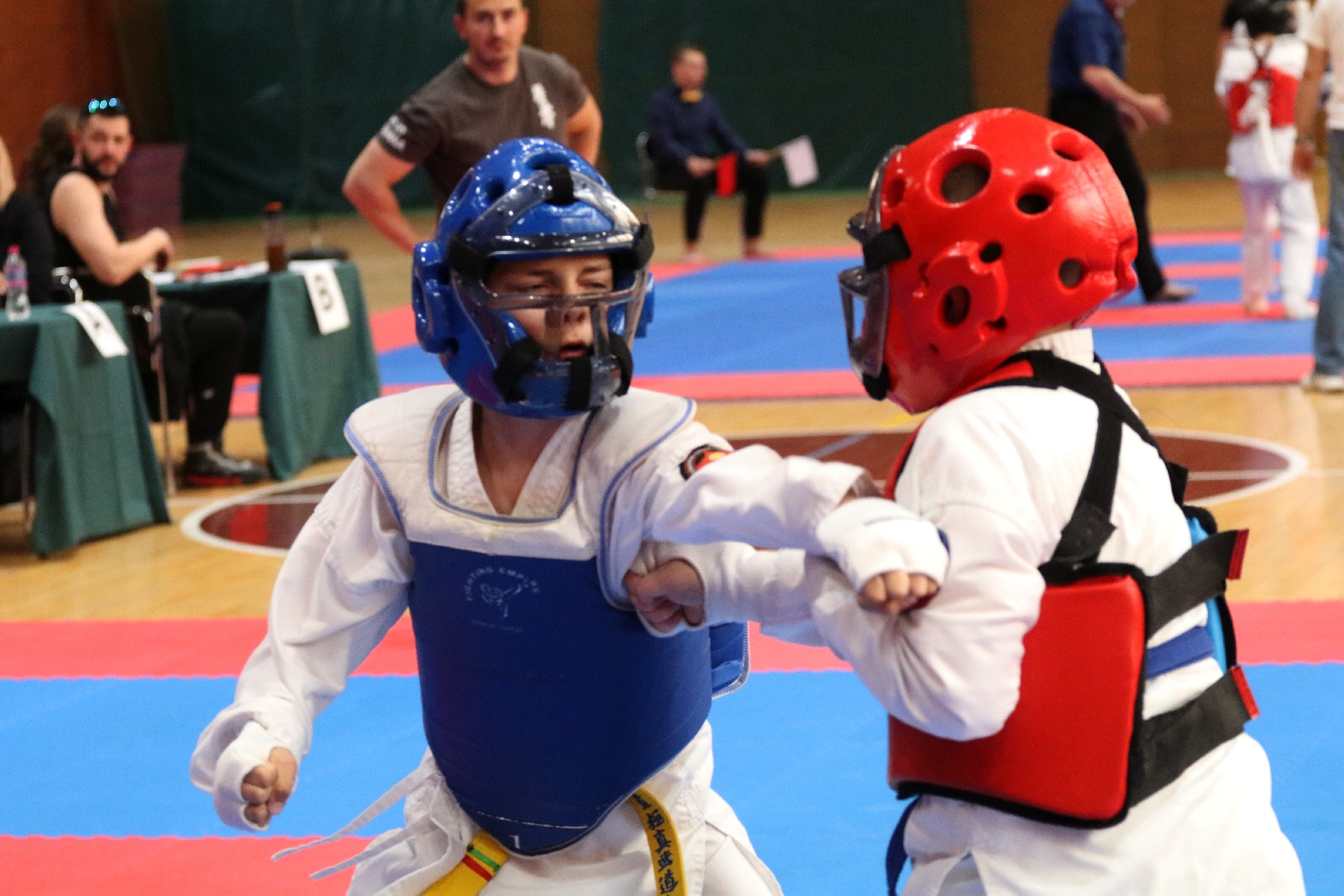 Silesia Cup. Zawody w ramach Polskiej Ligi Karate Kontaktowego