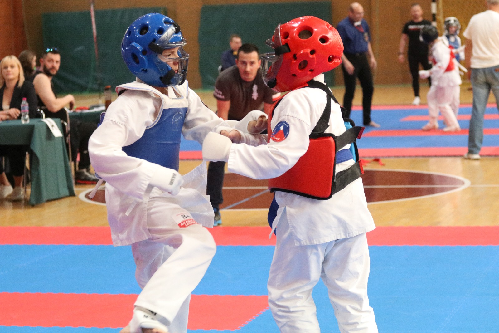 Silesia Cup. Zawody w ramach Polskiej Ligi Karate Kontaktowego