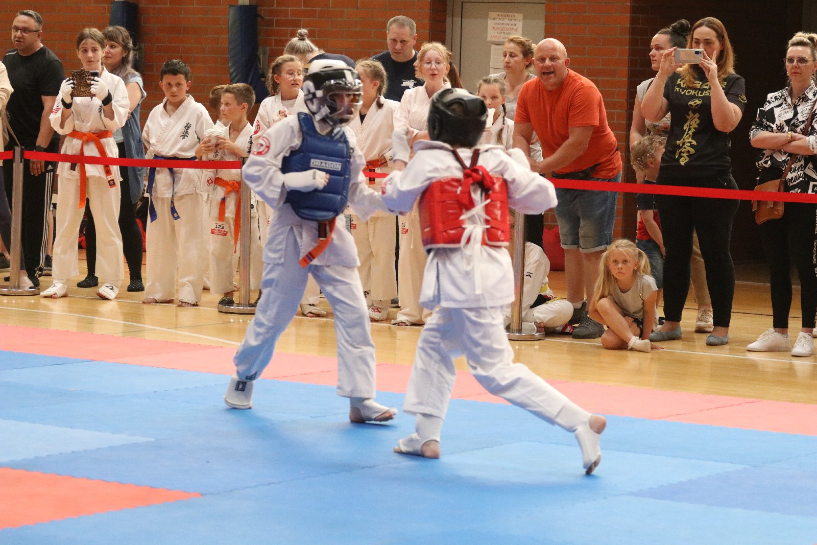 Silesia Cup. Zawody w ramach Polskiej Ligi Karate Kontaktowego
