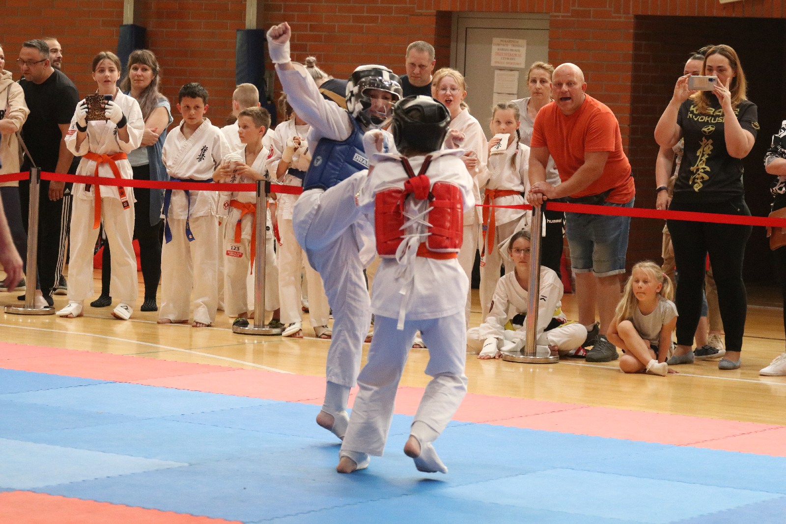 Silesia Cup. Zawody w ramach Polskiej Ligi Karate Kontaktowego