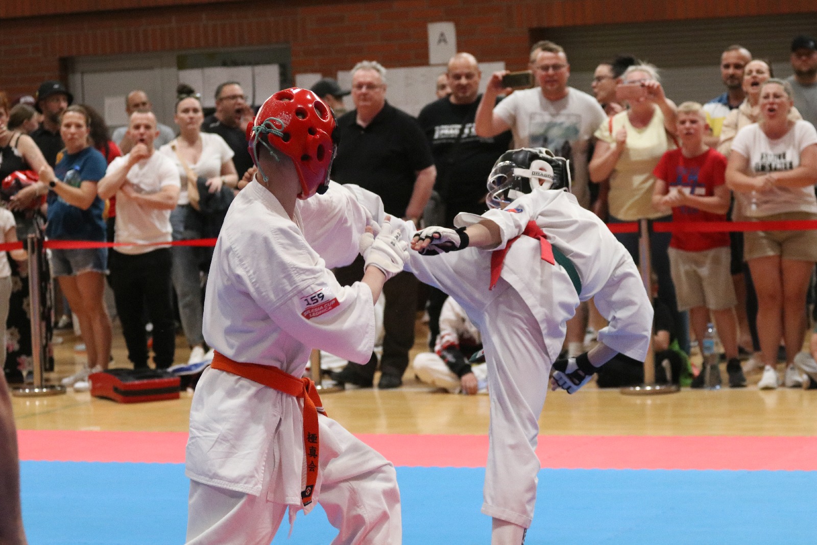 Silesia Cup. Zawody w ramach Polskiej Ligi Karate Kontaktowego