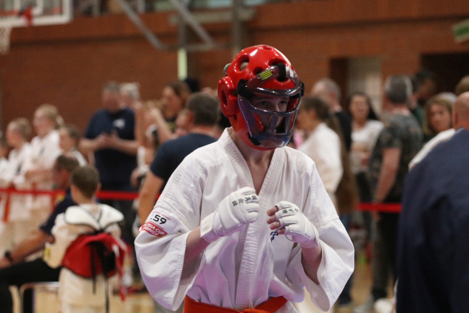 Silesia Cup. Zawody w ramach Polskiej Ligi Karate Kontaktowego