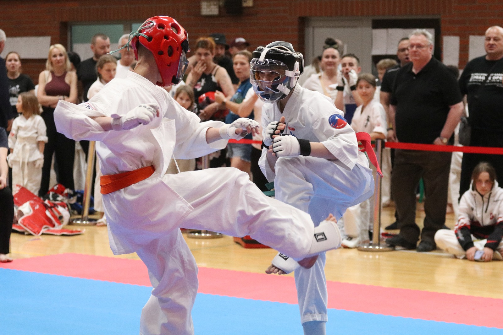 Silesia Cup. Zawody w ramach Polskiej Ligi Karate Kontaktowego