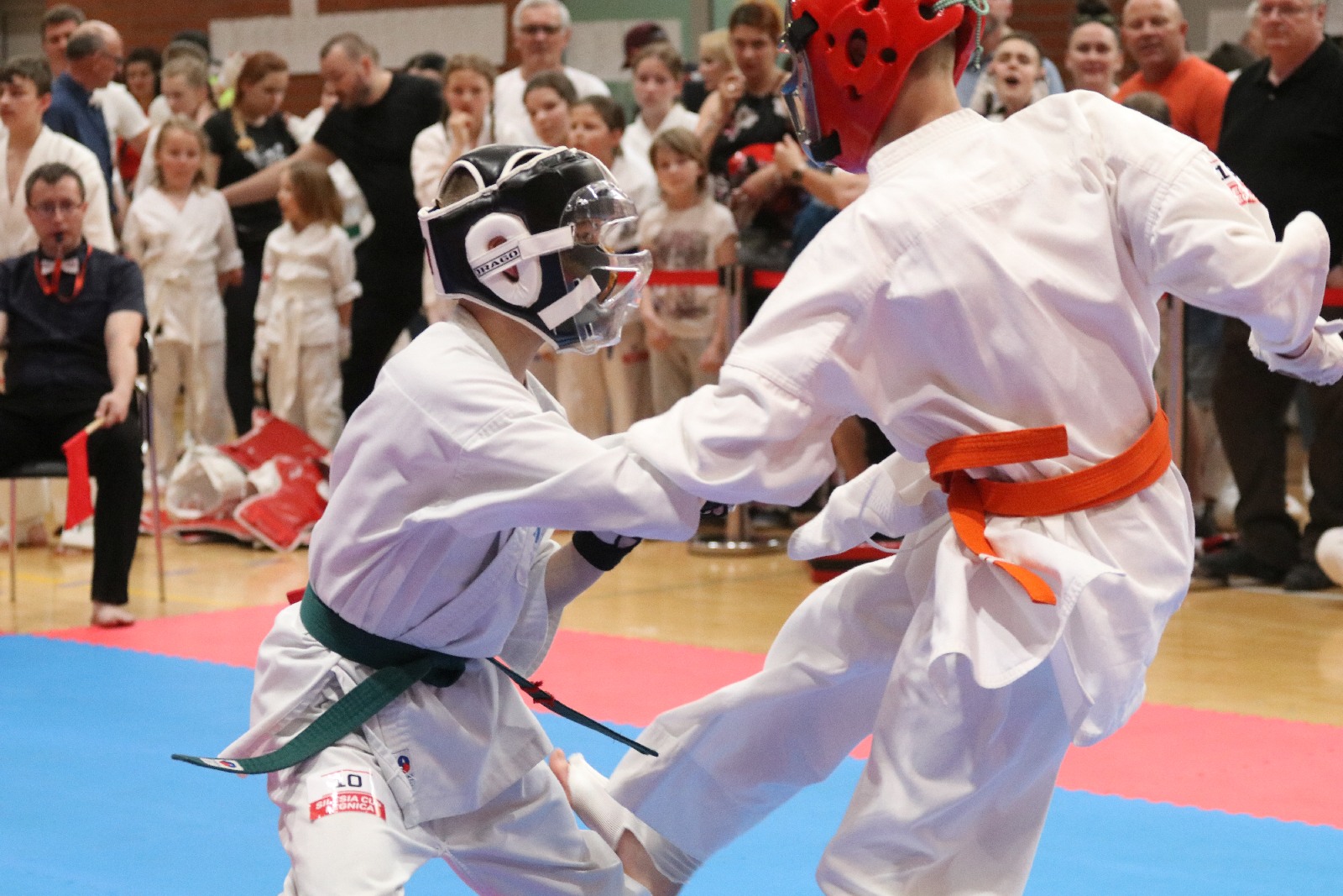 Silesia Cup. Zawody w ramach Polskiej Ligi Karate Kontaktowego