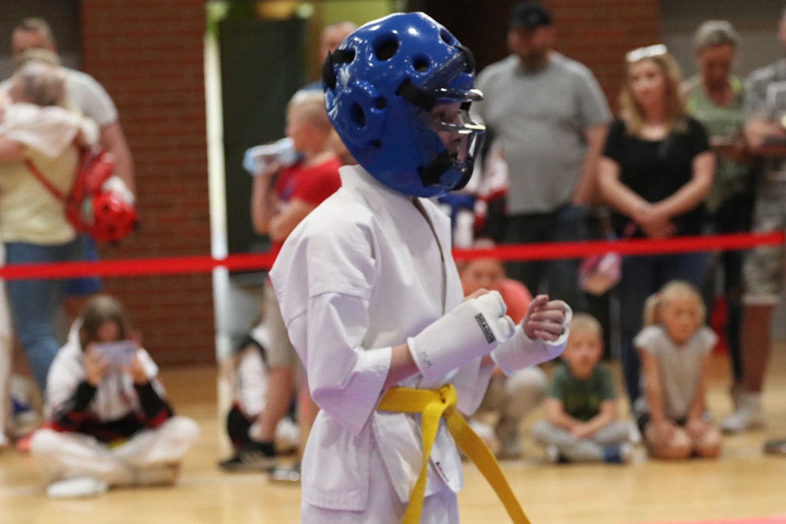 Silesia Cup. Zawody w ramach Polskiej Ligi Karate Kontaktowego