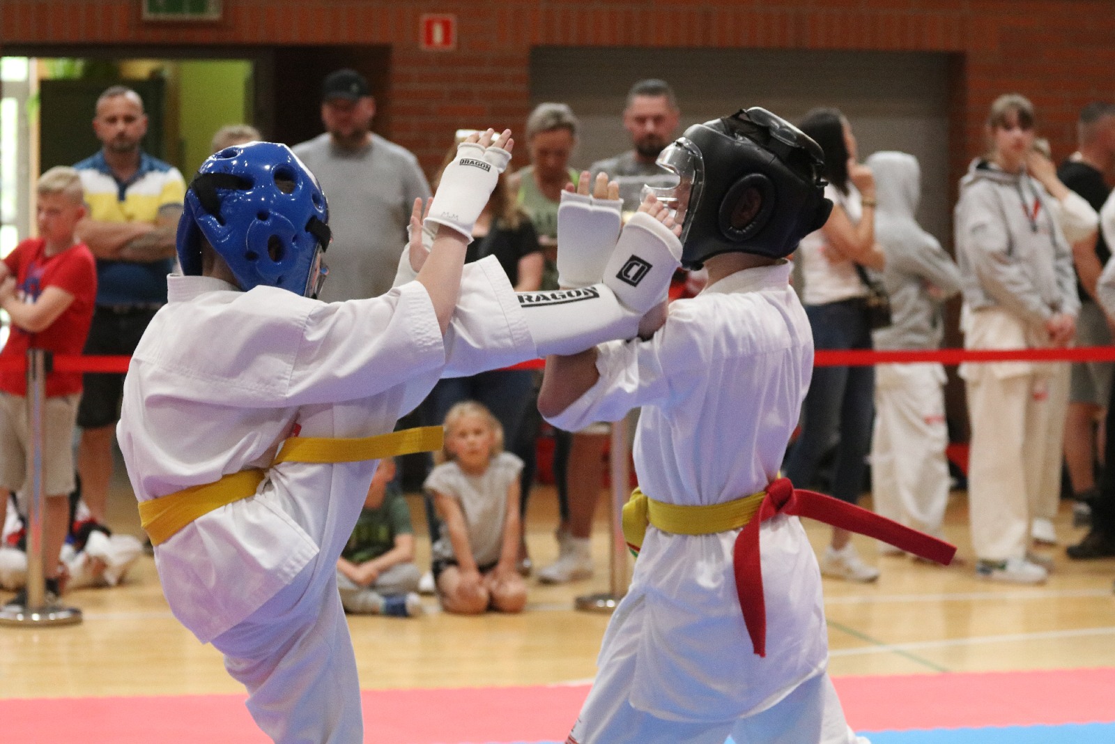 Silesia Cup. Zawody w ramach Polskiej Ligi Karate Kontaktowego