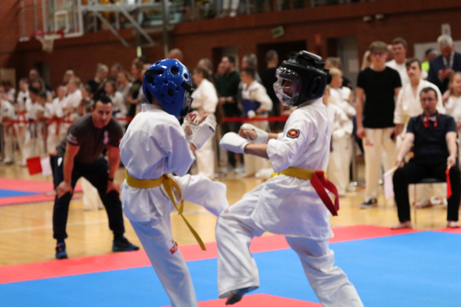 Silesia Cup. Zawody w ramach Polskiej Ligi Karate Kontaktowego