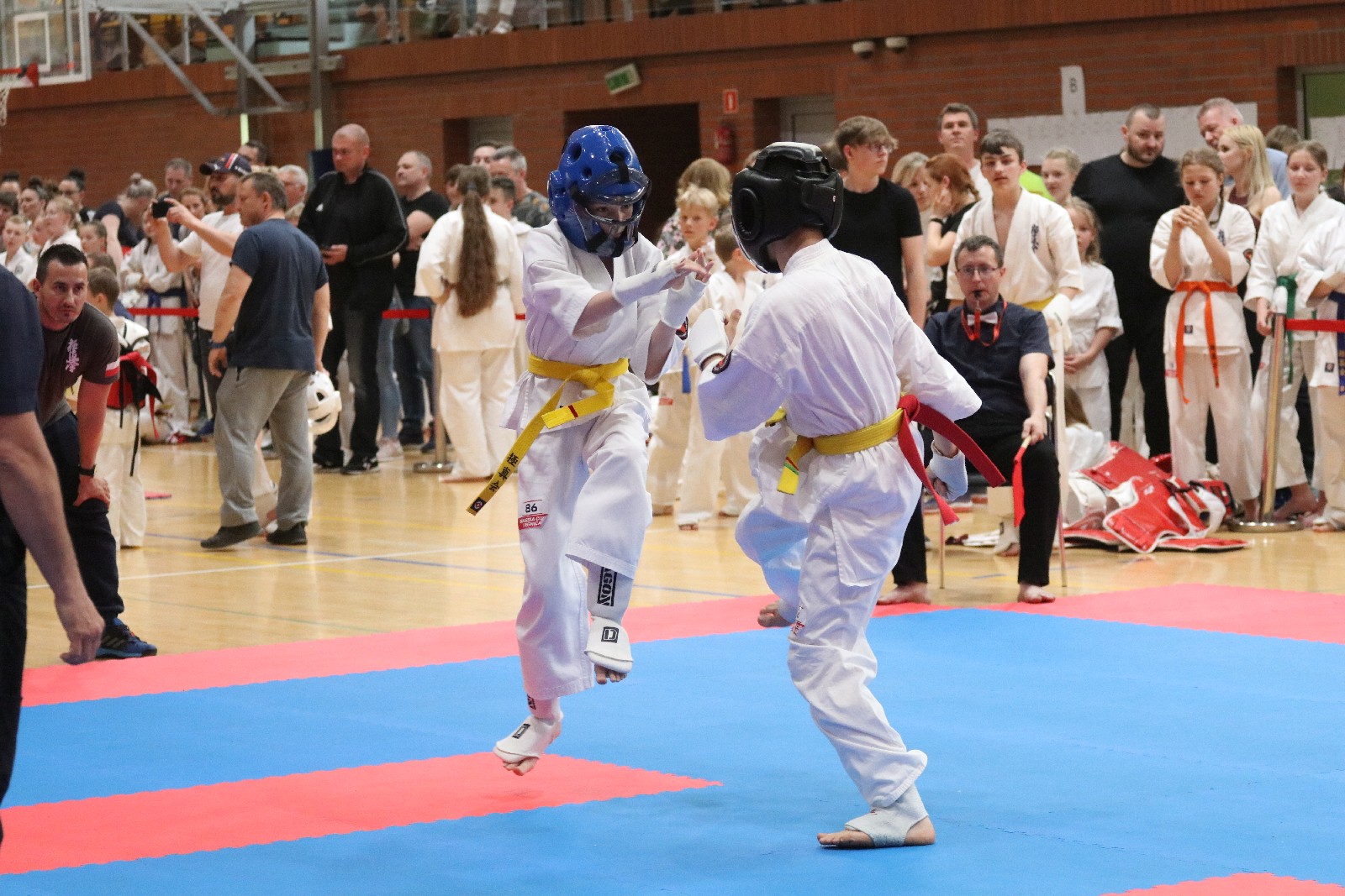 Silesia Cup. Zawody w ramach Polskiej Ligi Karate Kontaktowego