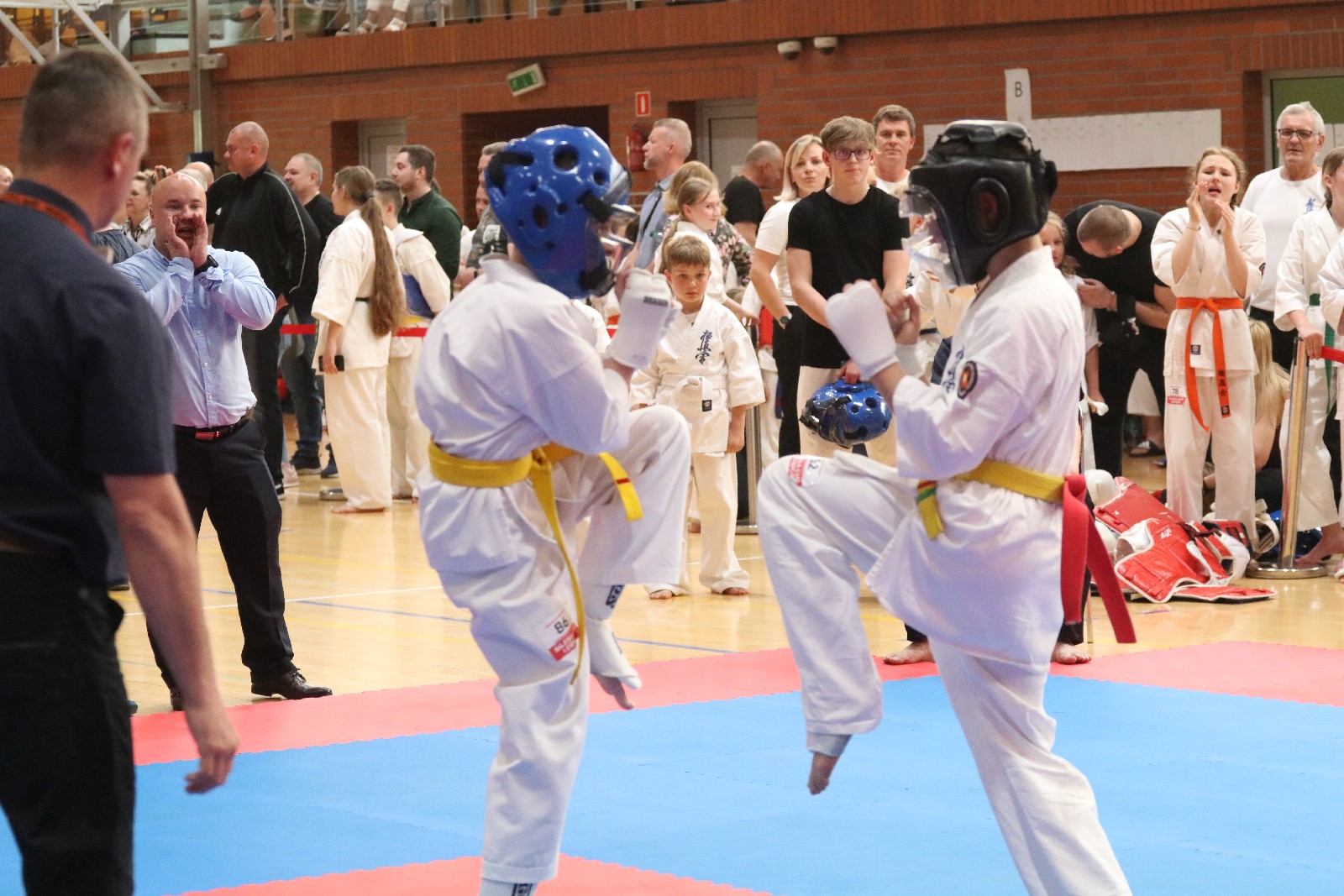 Silesia Cup. Zawody w ramach Polskiej Ligi Karate Kontaktowego