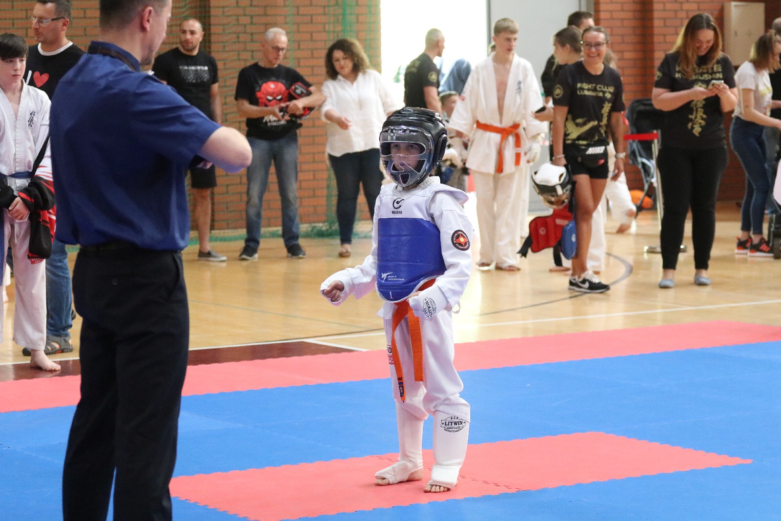 Silesia Cup. Zawody w ramach Polskiej Ligi Karate Kontaktowego
