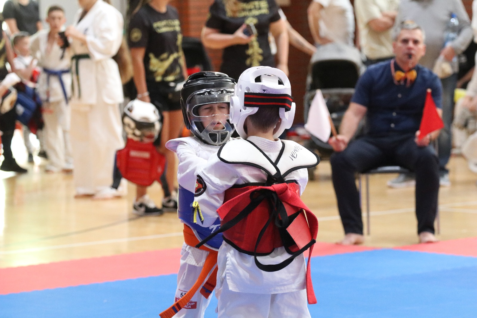 Silesia Cup. Zawody w ramach Polskiej Ligi Karate Kontaktowego