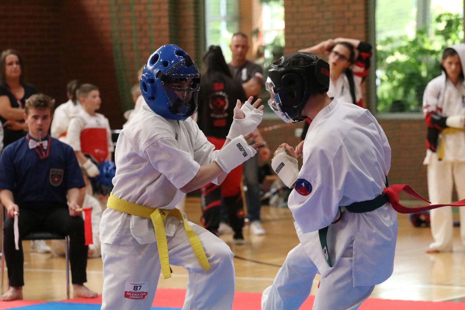 Silesia Cup. Zawody w ramach Polskiej Ligi Karate Kontaktowego