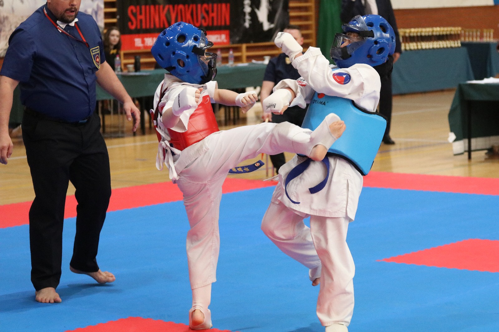 Silesia Cup. Zawody w ramach Polskiej Ligi Karate Kontaktowego