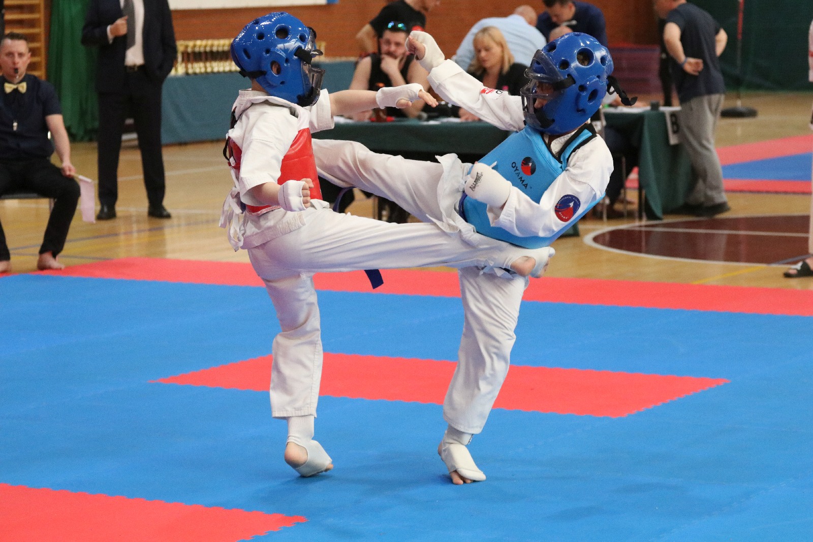Silesia Cup. Zawody w ramach Polskiej Ligi Karate Kontaktowego
