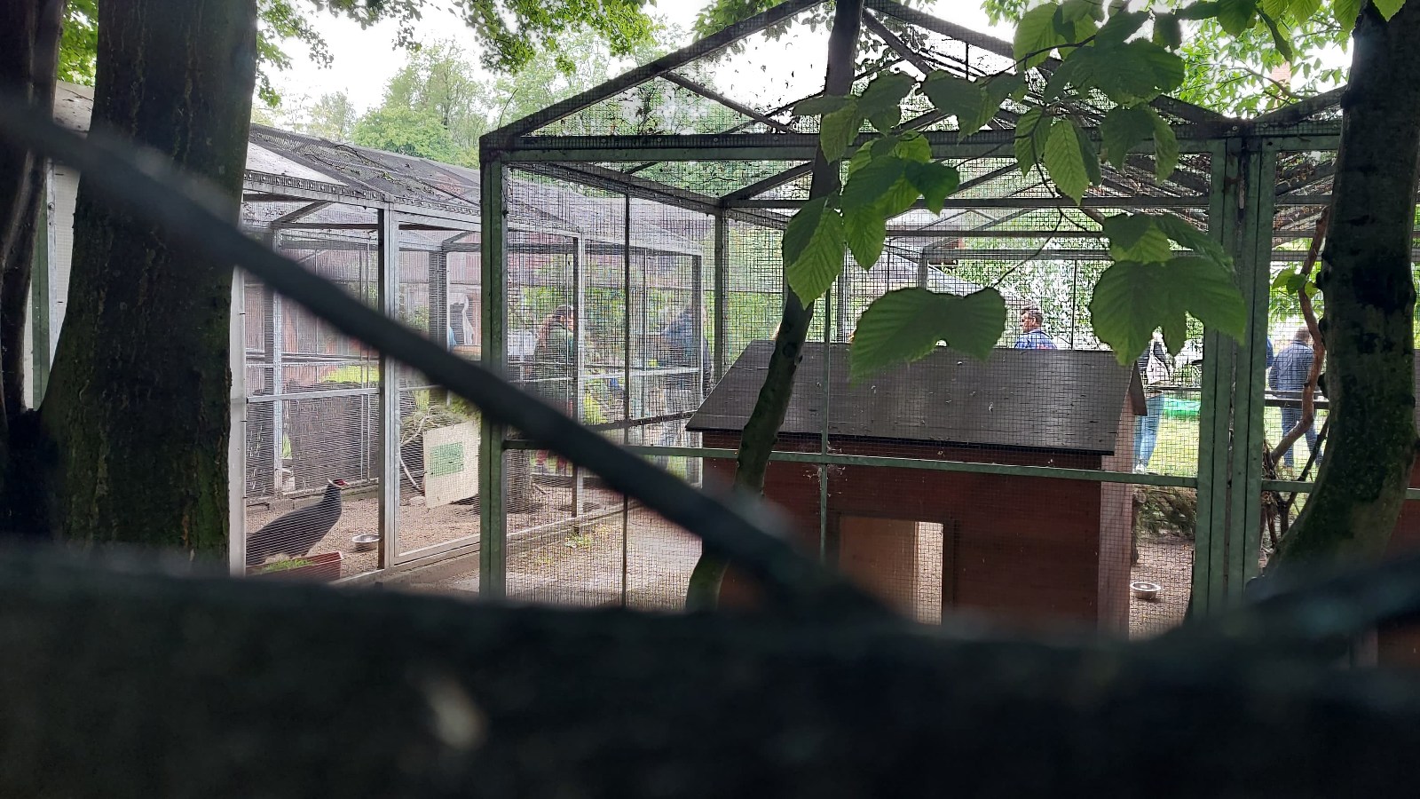 Pracownicy poznańskiego ZOO przygotowują zwierzęta do transportu