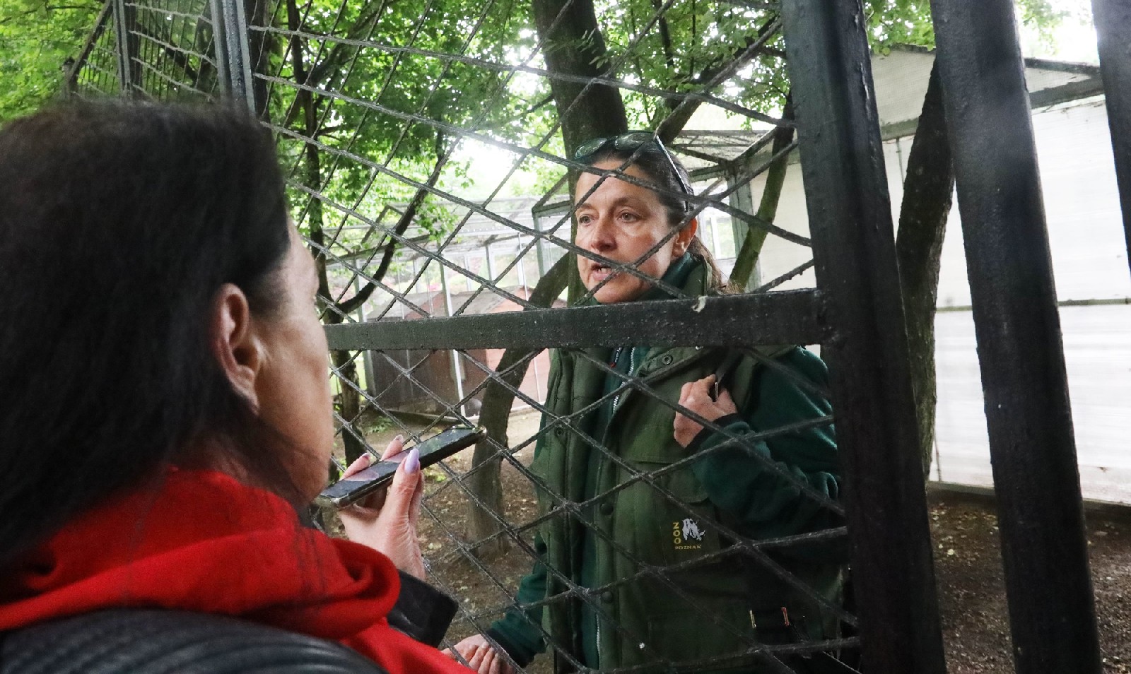 Pracownicy poznańskiego ZOO przygotowują zwierzęta do transportu
