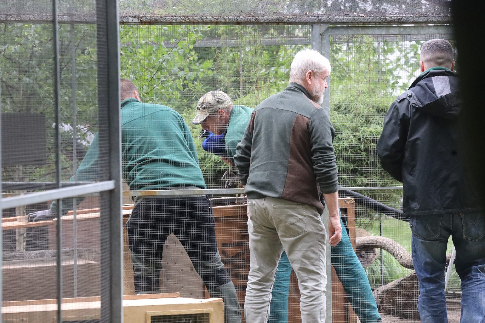 Pracownicy poznańskiego ZOO przygotowują zwierzęta do transportu
