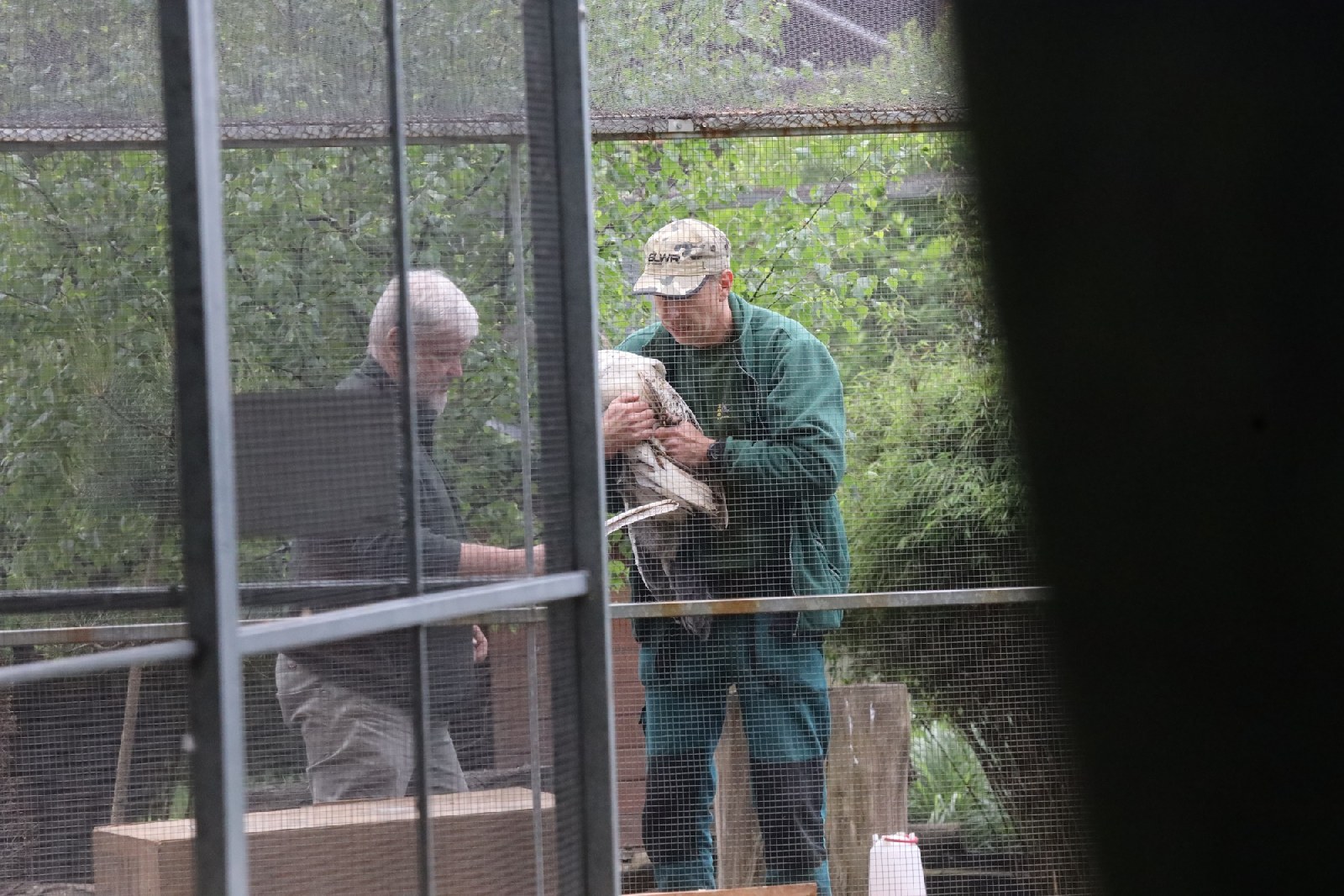 Pracownicy poznańskiego ZOO przygotowują zwierzęta do transportu