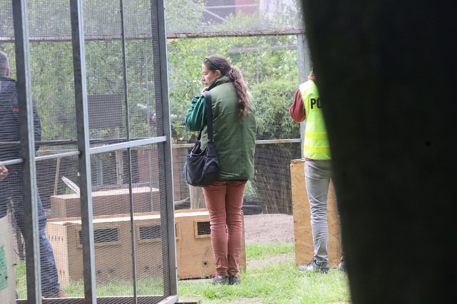 Pracownicy poznańskiego ZOO przygotowują zwierzęta do transportu