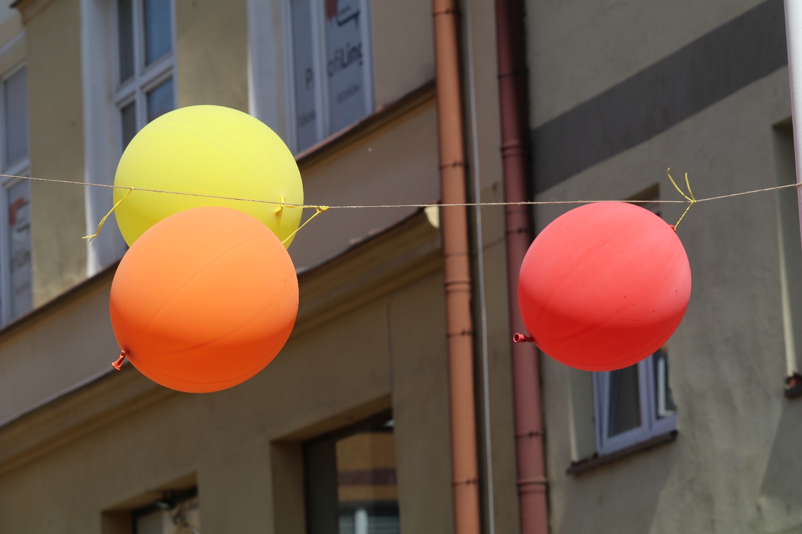 Satyrykonowy festyn rodzinny w centrum miasta. Zabawa była setna