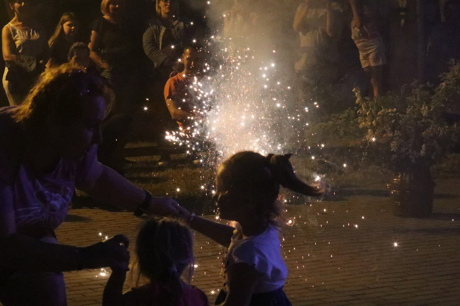 Koskowice świętowały Sylwestra z Gwiazdami. Działo się