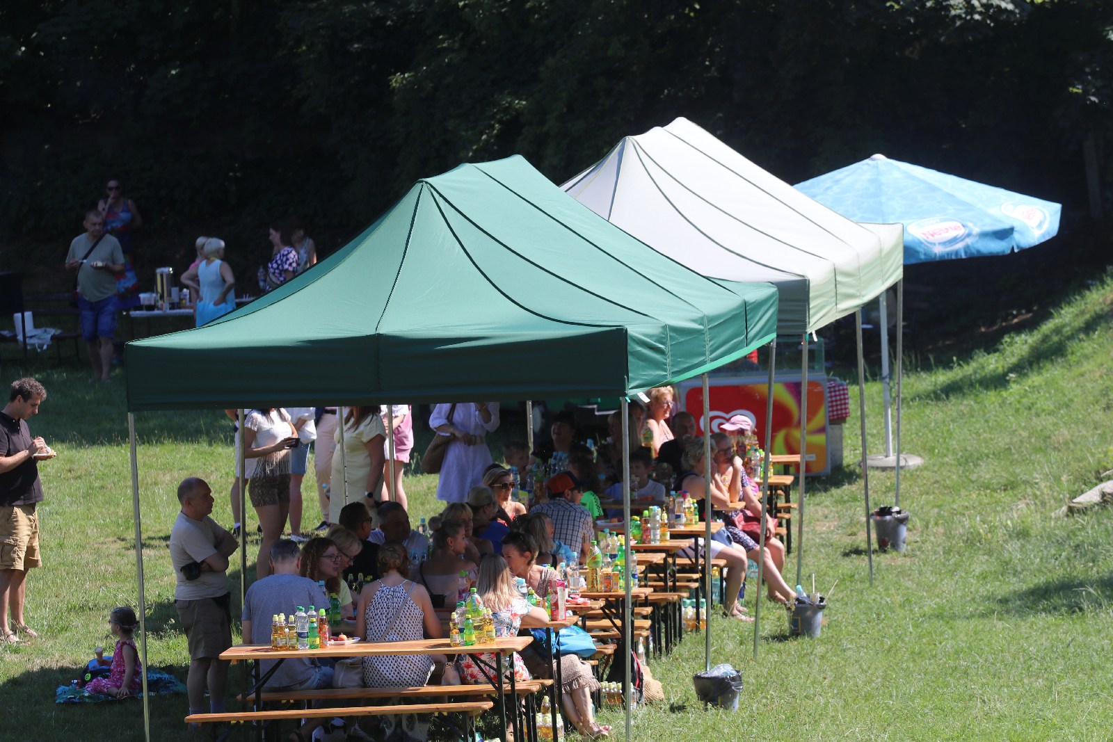 Piknik rodzinny Stowarzyszenia „Otwórz Serce”