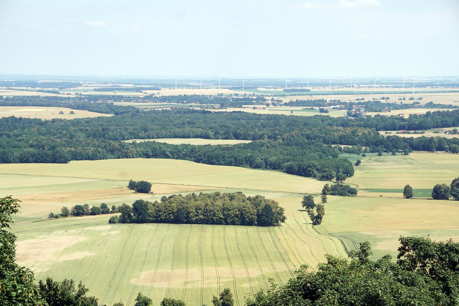 Święto Kwitnących Lip i 