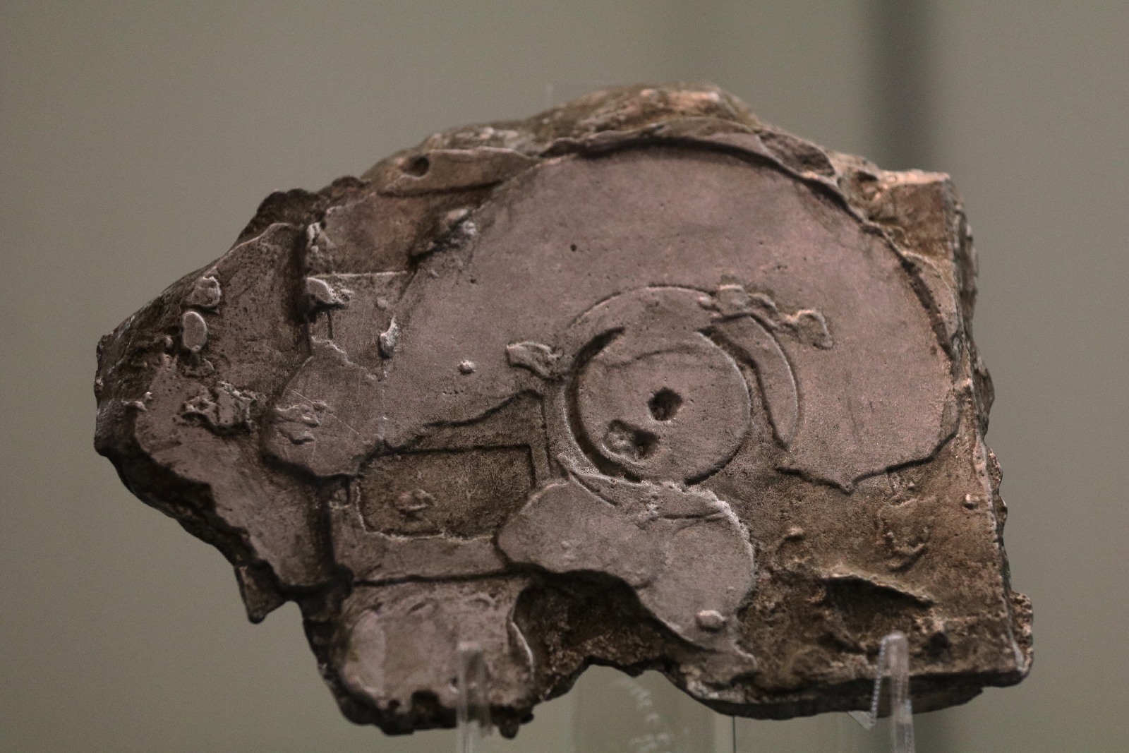 Wystawa pamięci Bernarda Adamowicza w Muzeum Miedzi