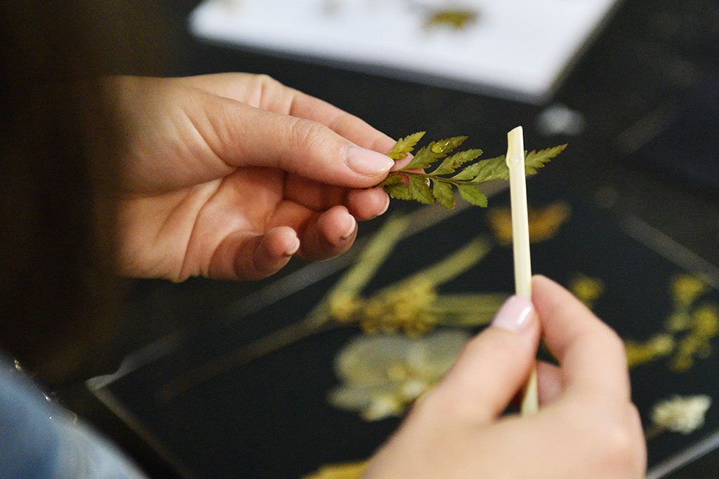 Warsztaty florystyczne w kwiaciarni Flowers Ctrl