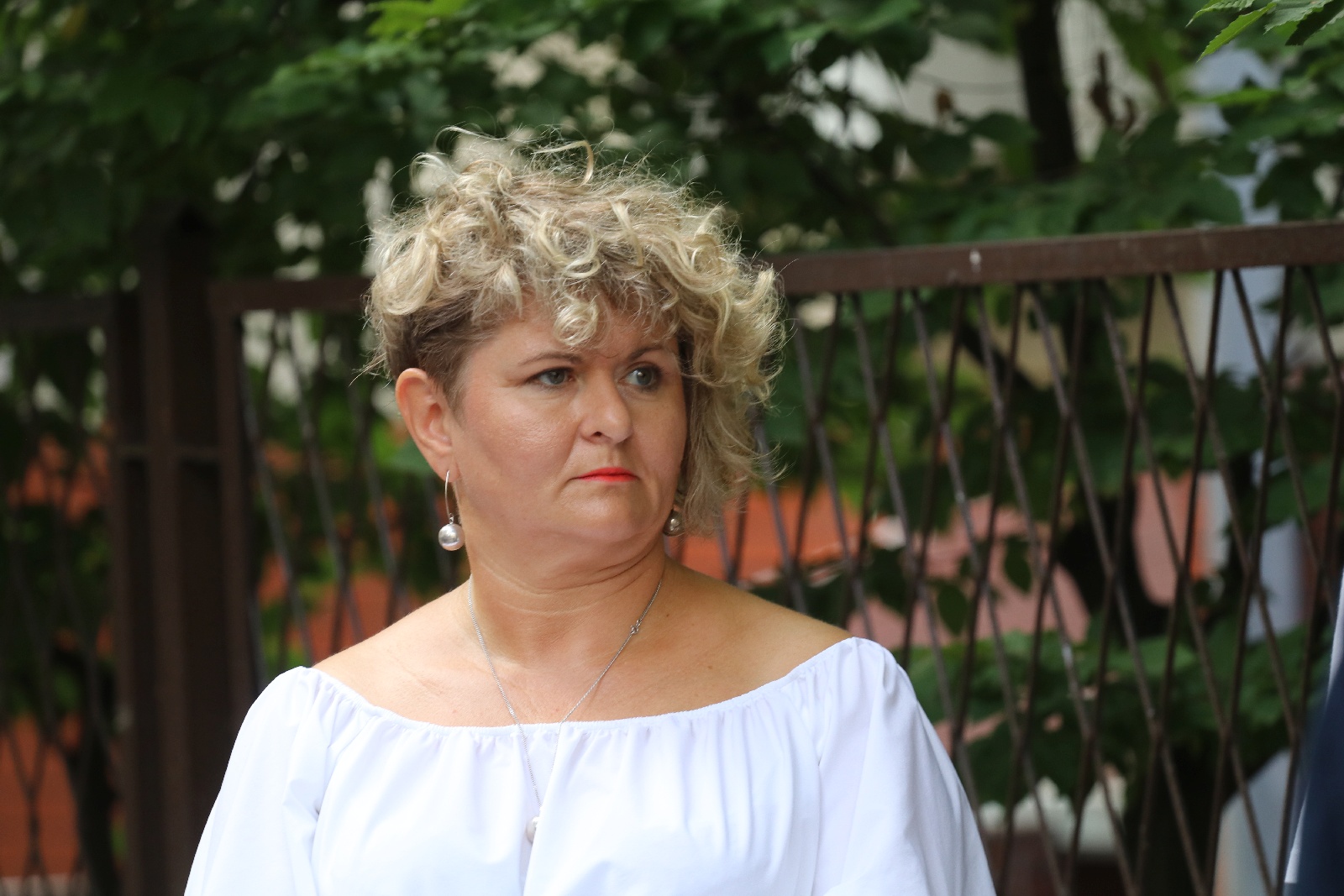 Kilkadziesiąt osób przyszło pod nową tablicę Szarych Szeregów