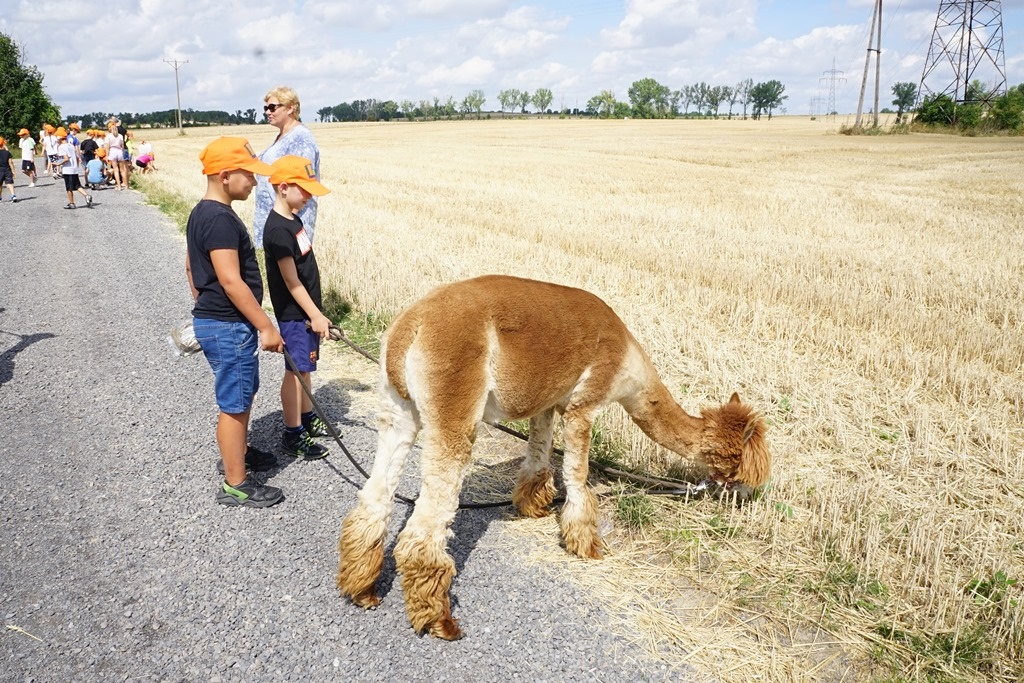 Półkolonie w Kunicach osiągnęły półmetek. Tak się bawiły dzieci