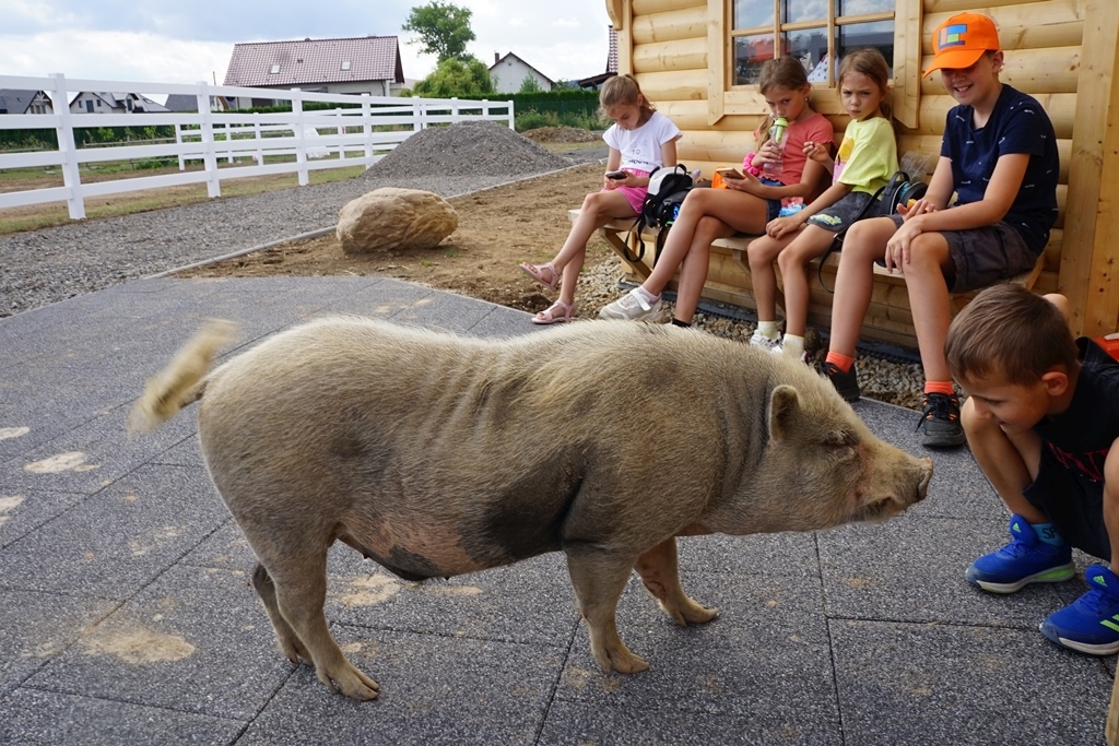 Półkolonie w Kunicach osiągnęły półmetek. Tak się bawiły dzieci