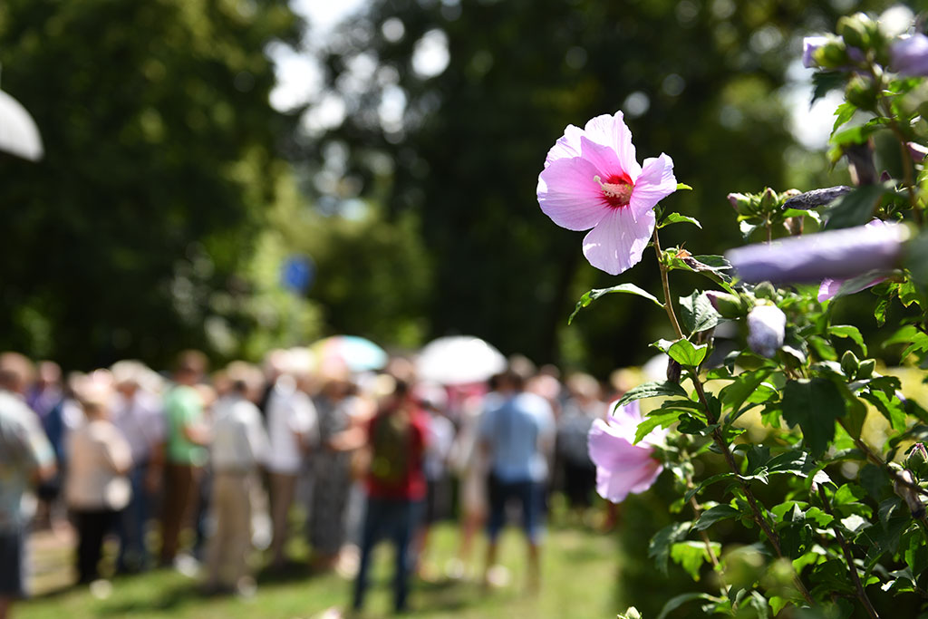 Poznaliśmy historię lwa śpiącego w Parku Miejskim i jego twórcy
