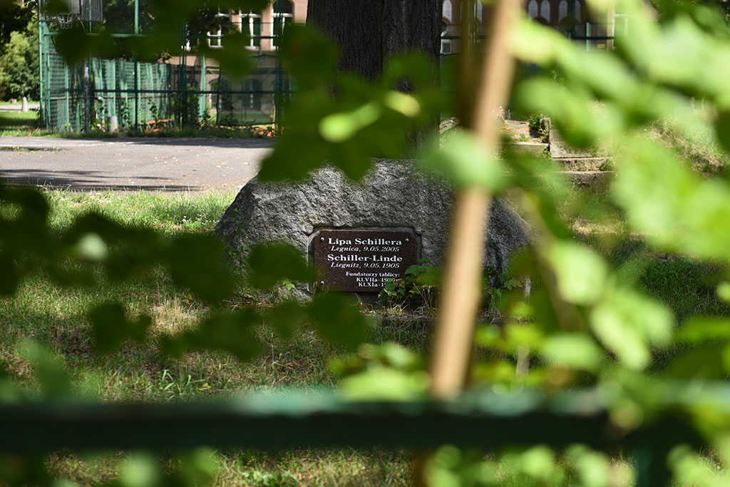 Poznaliśmy historię lwa śpiącego w Parku Miejskim i jego twórcy
