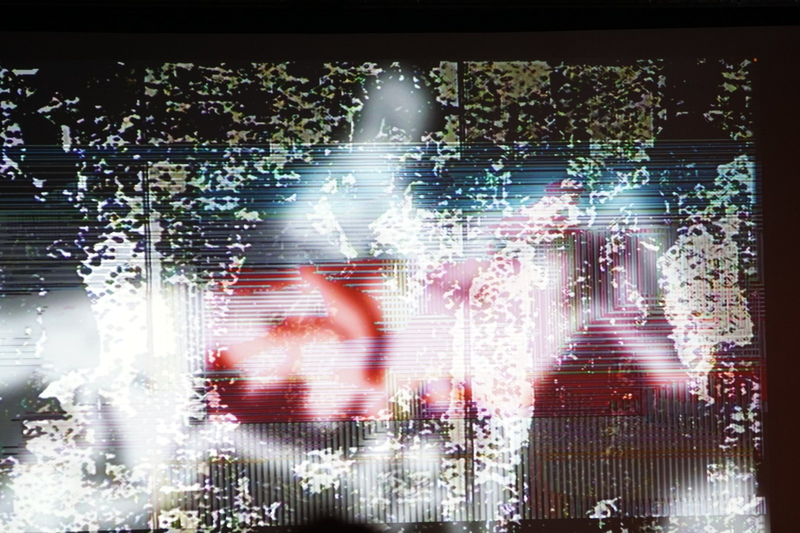 „Muybridge - reminiscencje” performans audiowizualny