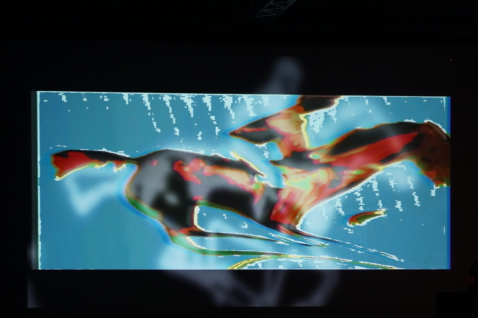 „Muybridge - reminiscencje” performans audiowizualny