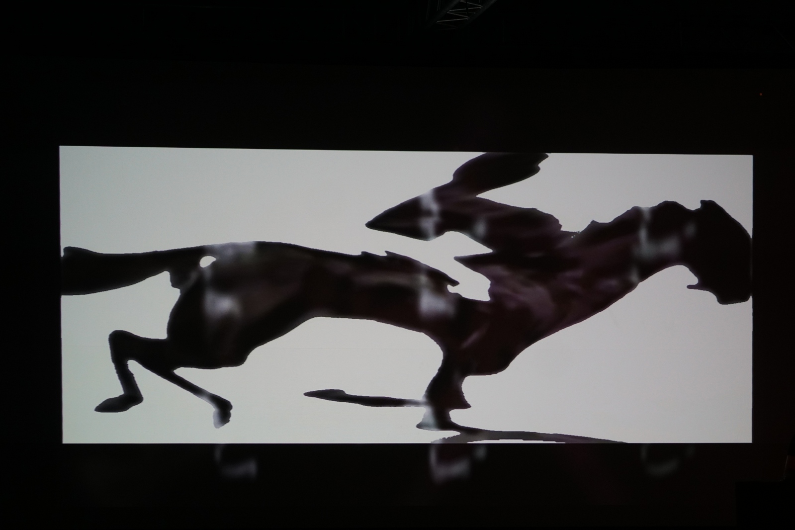 „Muybridge - reminiscencje” performans audiowizualny