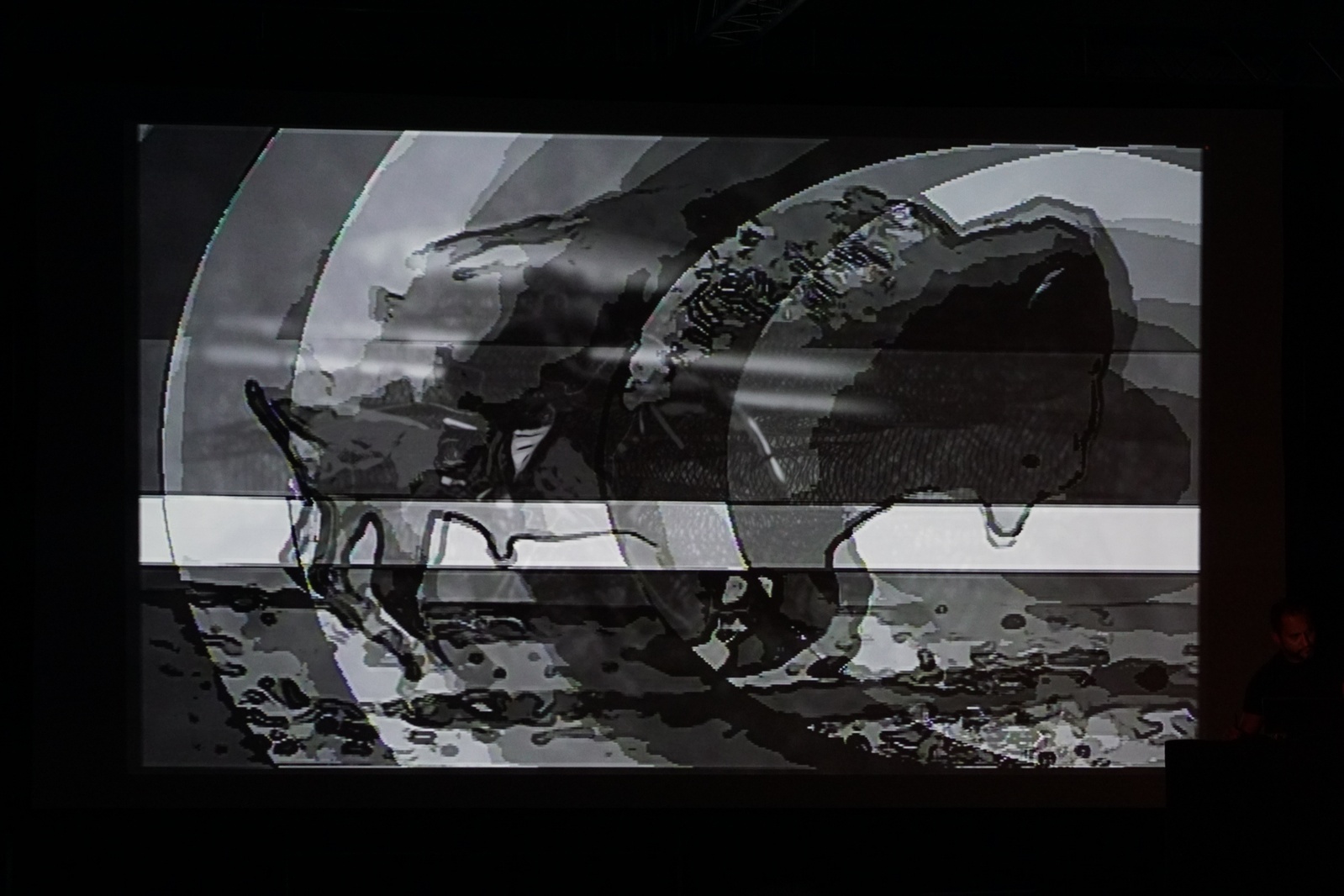 „Muybridge - reminiscencje” performans audiowizualny