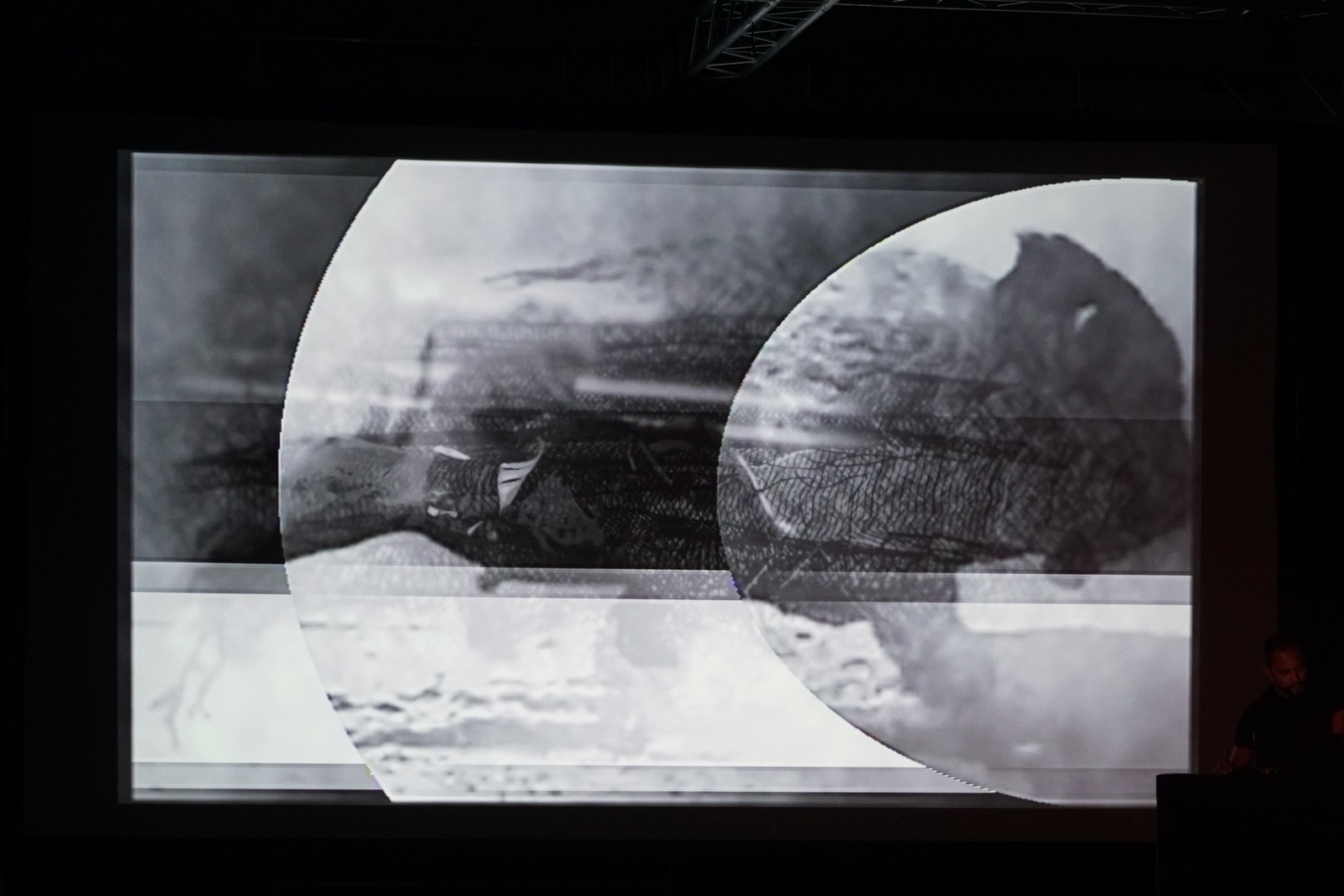 „Muybridge - reminiscencje” performans audiowizualny