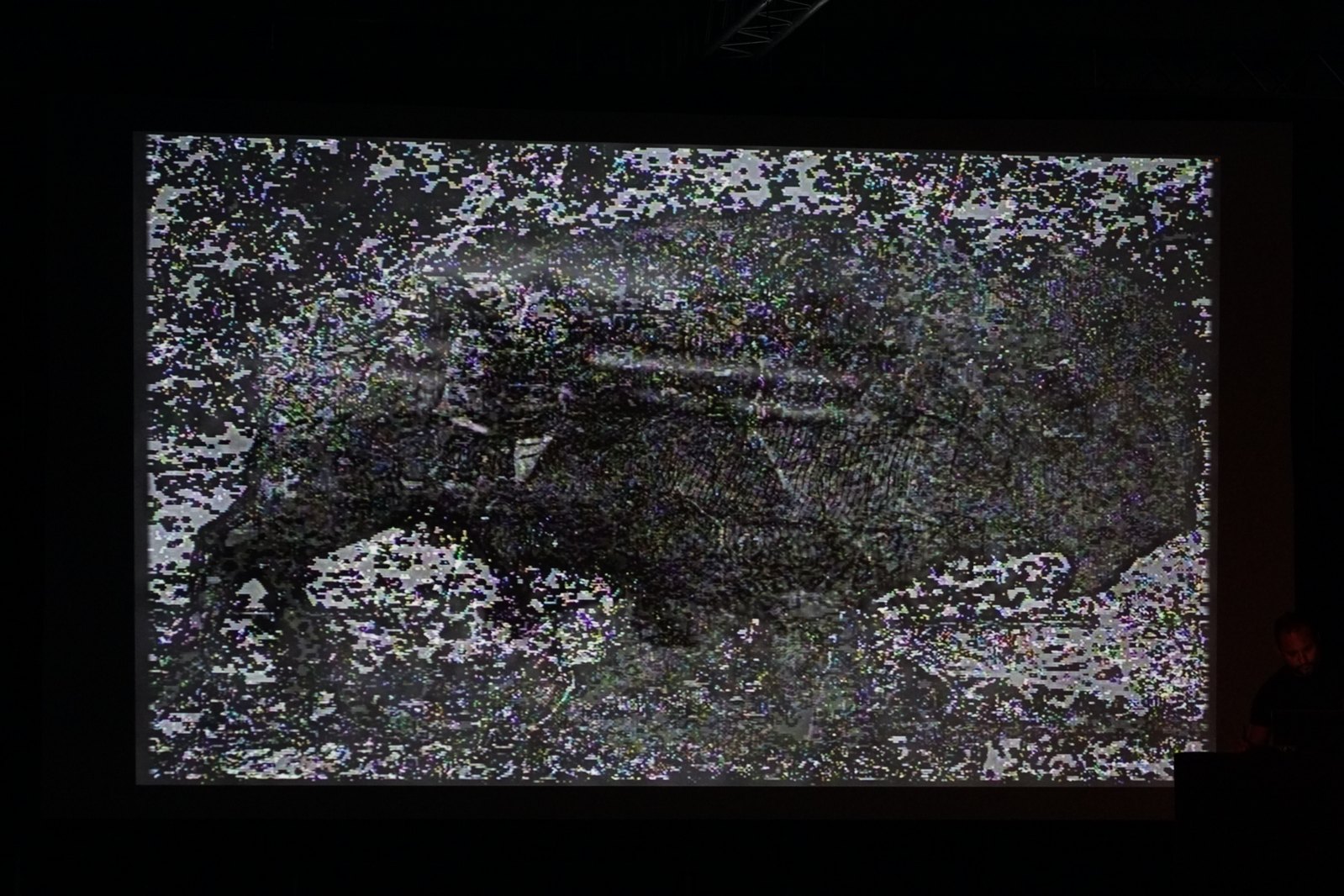 „Muybridge - reminiscencje” performans audiowizualny