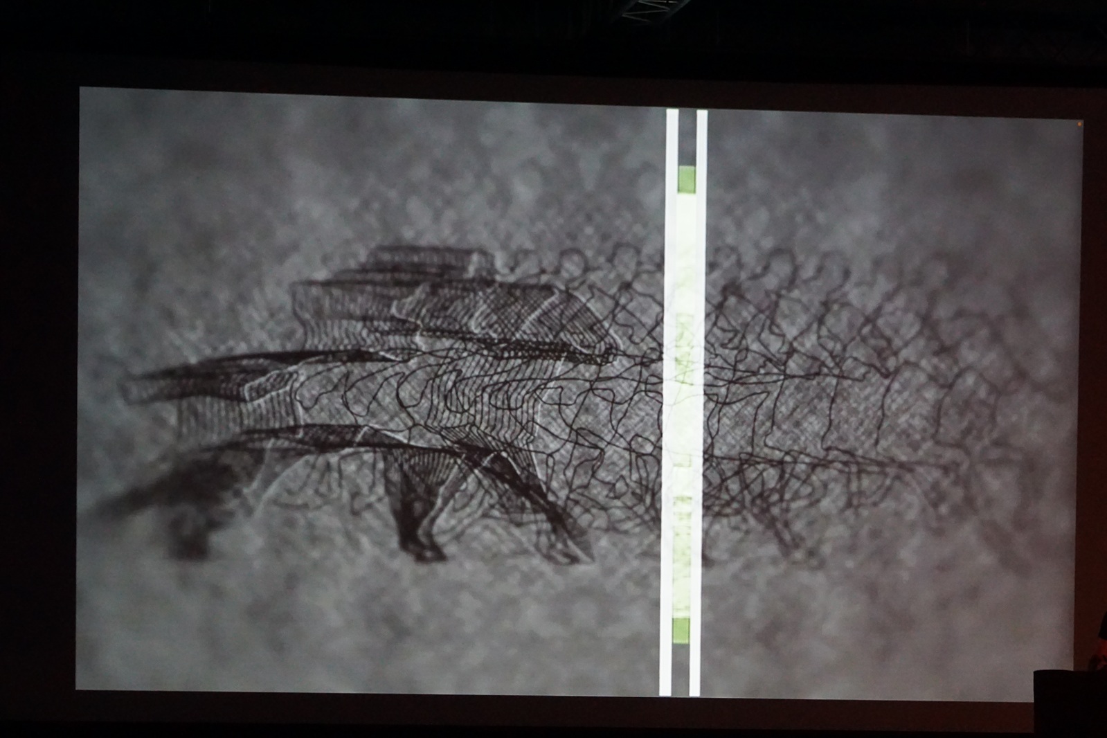 „Muybridge - reminiscencje” performans audiowizualny