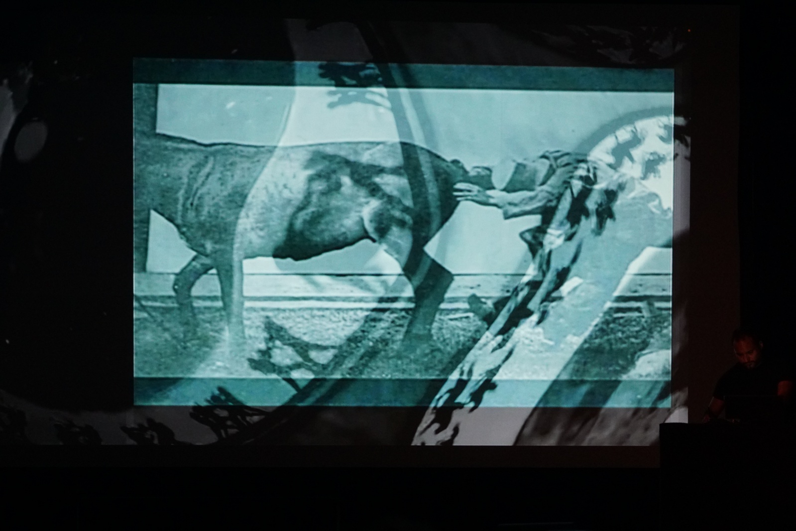 „Muybridge - reminiscencje” performans audiowizualny