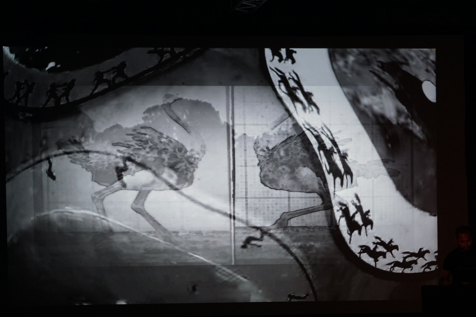 „Muybridge - reminiscencje” performans audiowizualny